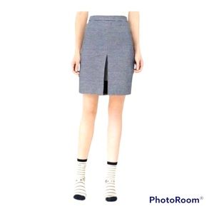 Kate Spade‎ Skirt Pinstripes Blue/White Saturday Collection Sz 6